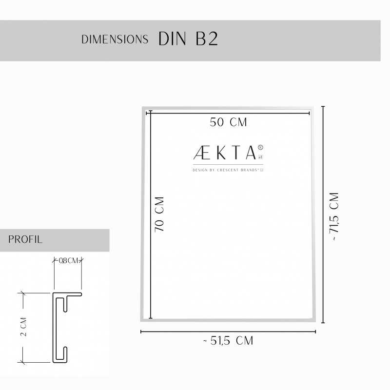 Cadre alu AEKTA - Argent Mat - Pour format 50x70cm