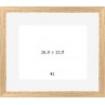 PRODUCT-2764
