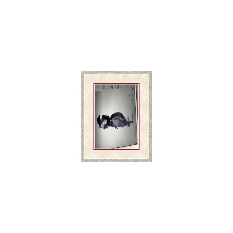 PRODUCT-2813