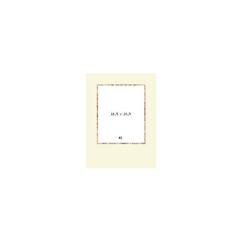 PRODUCT-2817