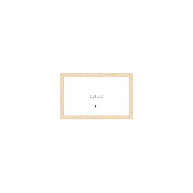 PRODUCT-2954