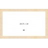PRODUCT-2954