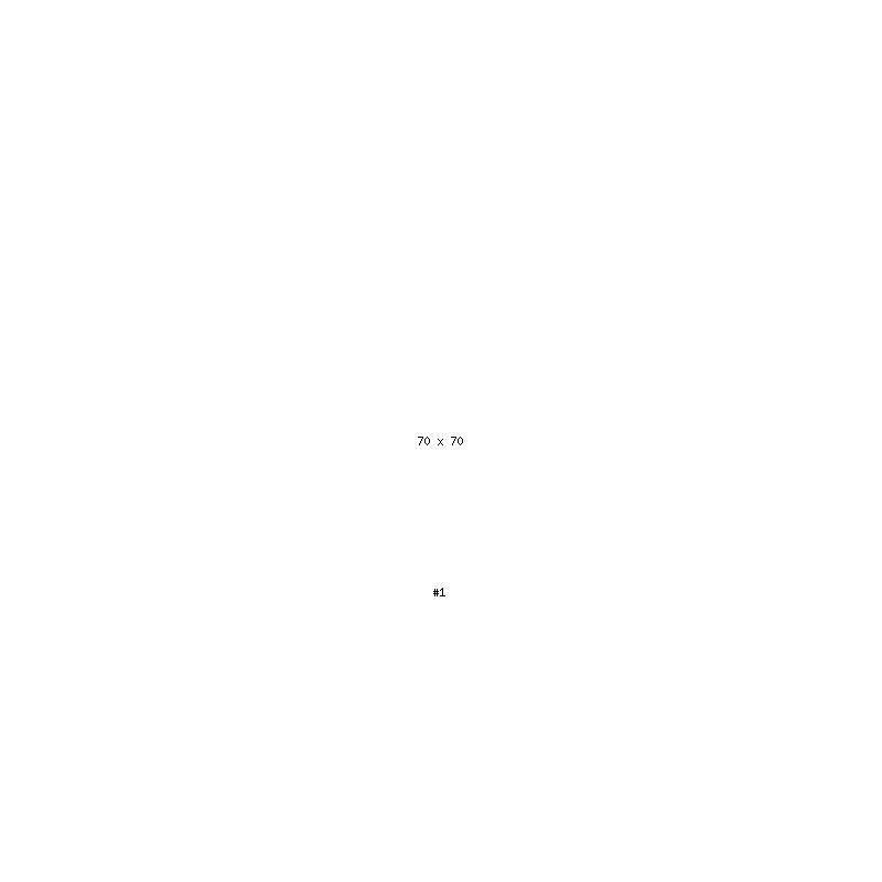 PRODUCT-3031