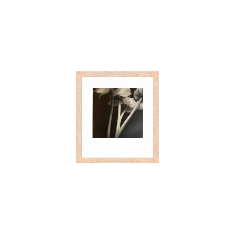 PRODUCT-3076