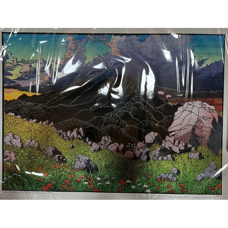 PRODUCT-3091