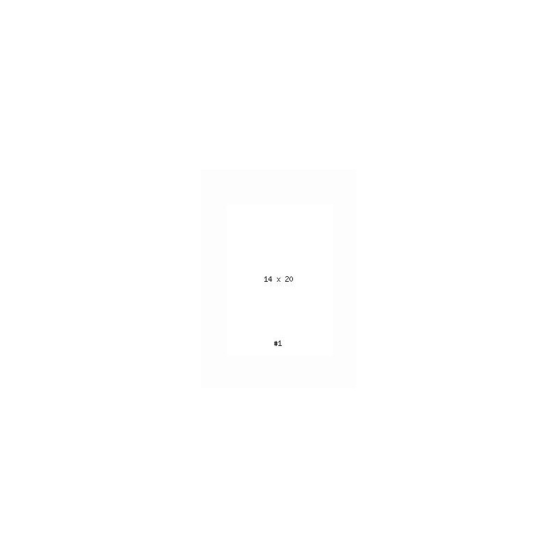 PRODUCT-3106